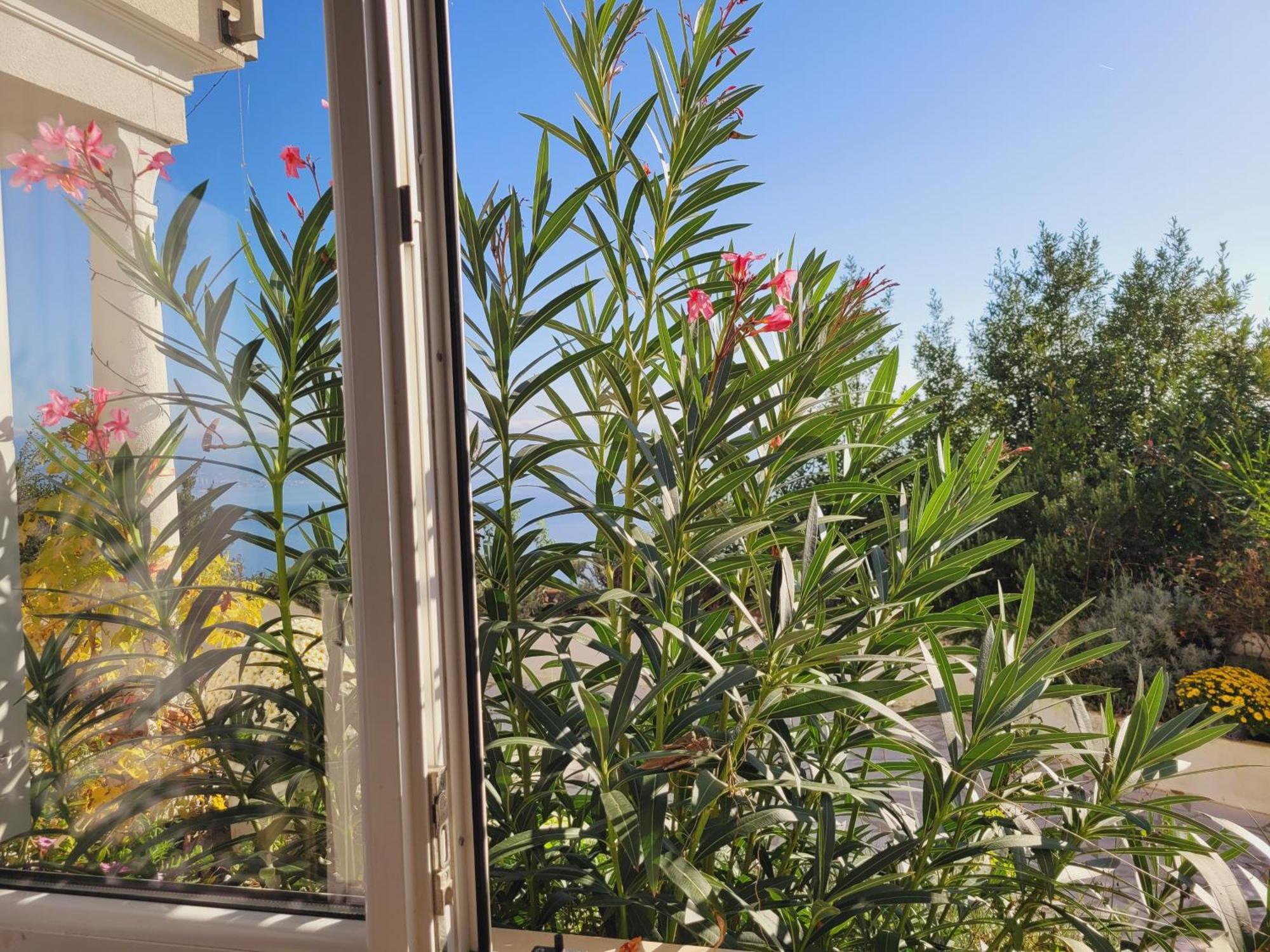 Apartments Chiara Mit Meerblick Und Pool Und Jacuzzi Ловран Екстериор снимка