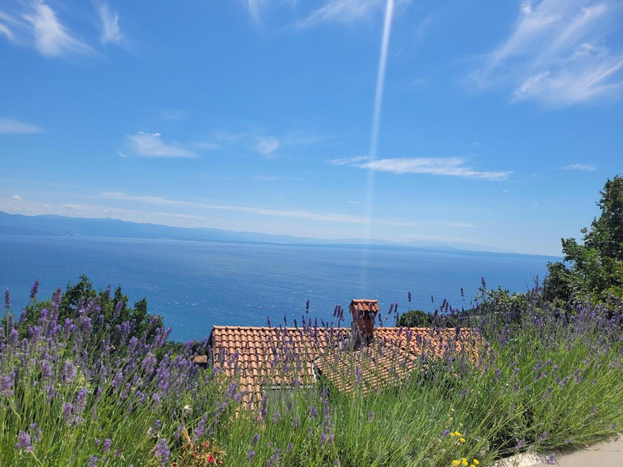 Apartments Chiara Mit Meerblick Und Pool Und Jacuzzi Ловран Екстериор снимка